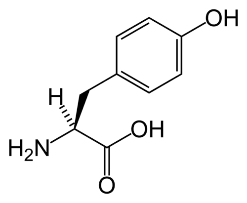 تیروزین(Tyr&nbsp;/&nbsp;Y)