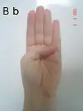 حرف B