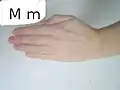 حرف M