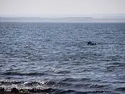 View at a lake surface