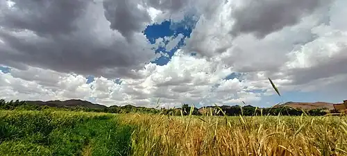 منظره ای از روستای یربجان در فصل بهار