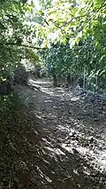کوچه باغ های نزدیکی غار