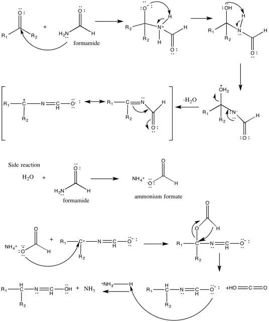 The scheme depicts the mechanism for the Leuckart reaction using formamide as the reducing agent.