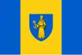 پرچم Lille
