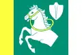 پرچم لیتووانی