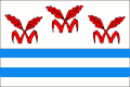 پرچم لیتوینوویتسه