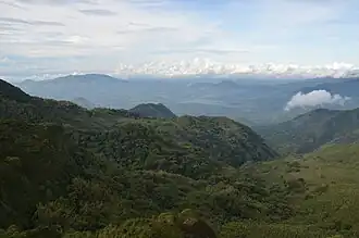 Livingstone Forest Reserve in Kitulo National Park