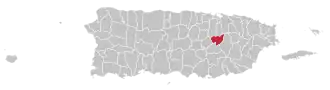 Location of Aguas Buenas within Puerto Rico