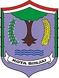 نشان رسمی Binjai