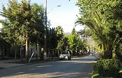 خیابان اقاقیاس در لولول