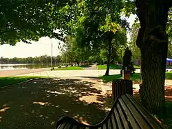 در پارک