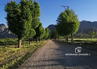 طبیعت روستای قلعه ناظر