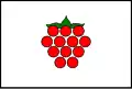 پرچم مالنوویتسه