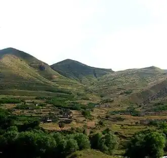 نمایی از ملیکاشن