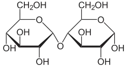 Maltose