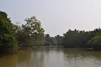 موقعیت بهیترکنکا مانگرو