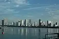 مانیل