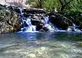 چشمه ساری به وجود آمده از آب ابشار مارگون