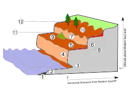 marine terraces