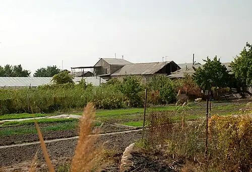գյուղական բնակավայր