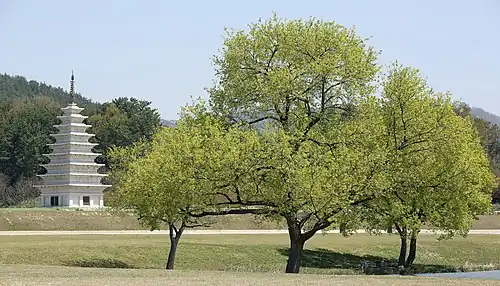 معبد میریوکسا در ایکسان