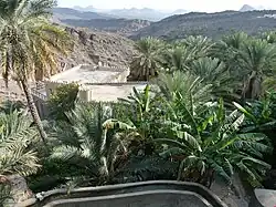 میسفا