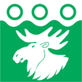پرچم میسو