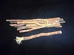 File:Miswak2.jpg