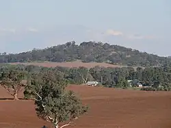 دیوار سنگی خشک در کنار کوه کارینیا نزدیک ماکولتا، استرالیای جنوبی..