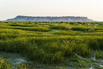 خواجه (کوه) در منطقه سیستان