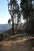 راه کوهستانی در کوه کاگه نوبو