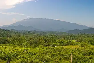 Mount Mantalingajan as seen from Ransang, Rizal