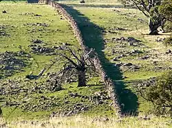 دیوار سنگی خشک در کنار کوه کارینیا نزدیک ماکولتا، استرالیای جنوبی.