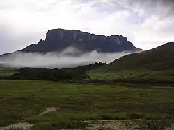 Kukenan Tepui