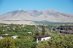 موغنی