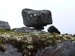 سیه‌تایی در نزدیکی روستای تومانی