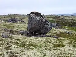 سیه‌تا نزدیک تومانی
