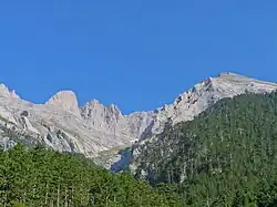 Mountain peak, forest in front