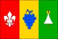 پرچم نیمتشیتشکی (ناحیه برتسلاف)