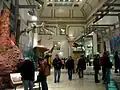 <!Hall of Mammals>