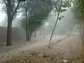 بوستان جنگلی ناژوان - اصفهان