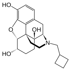 Skeletal formula
