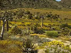 Goegap Nature Reserve