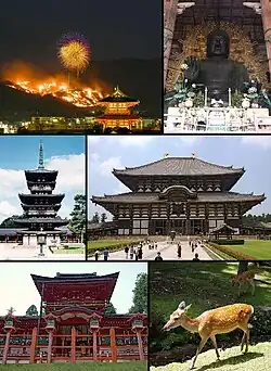 From top left: Wakakusayama Mountain Burning, Great Buddha of تودای‌جی،  Yakushi-ji, Todai-ji, Kasuga Shrine and a deer in Nara Park