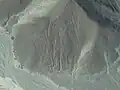 نگاره یک انسان