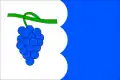 پرچم ناسدلوویتسه