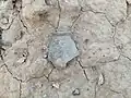 نای‌تپه