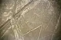 یک عنکبوت