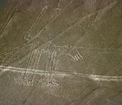 یک سگ