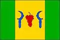 پرچم نخوالین